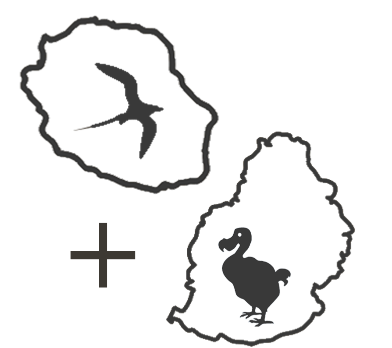 pictogramme combiné Réunion Maurice
