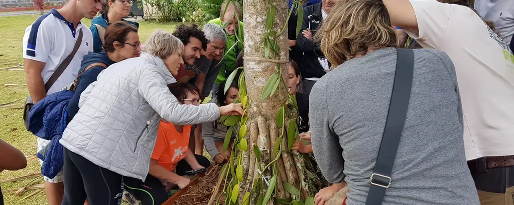 Visite guidée d'une vanilleraie au Bras-Panon en amoureux 