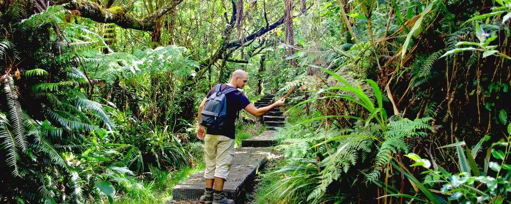 Réunion, le remarquable sentier du trou de fer 