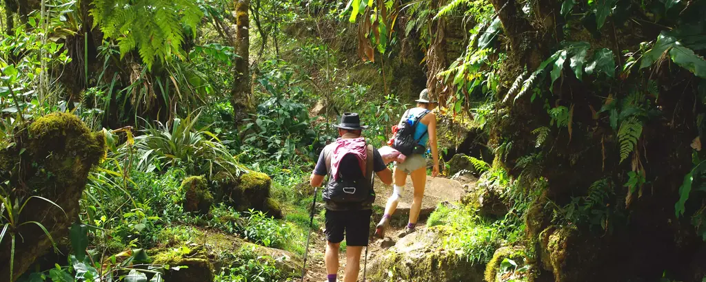 Sur les traces du GRR1, le tour du piton des Neiges