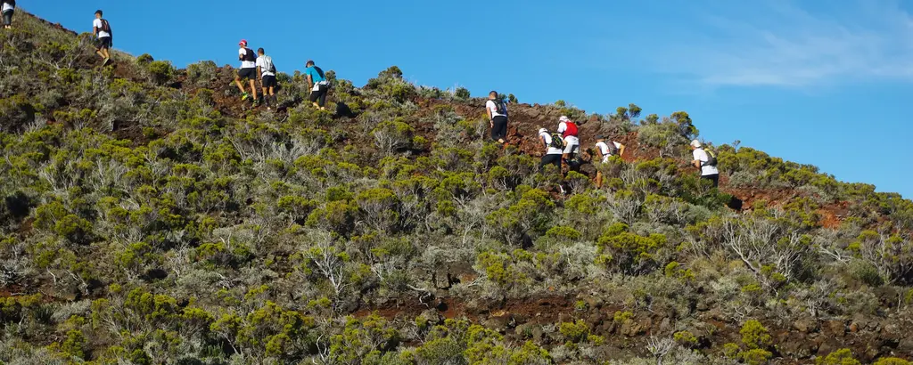 Trail de Bourg-Murat à Cilaos sur la trace de la Diagonale des Fous