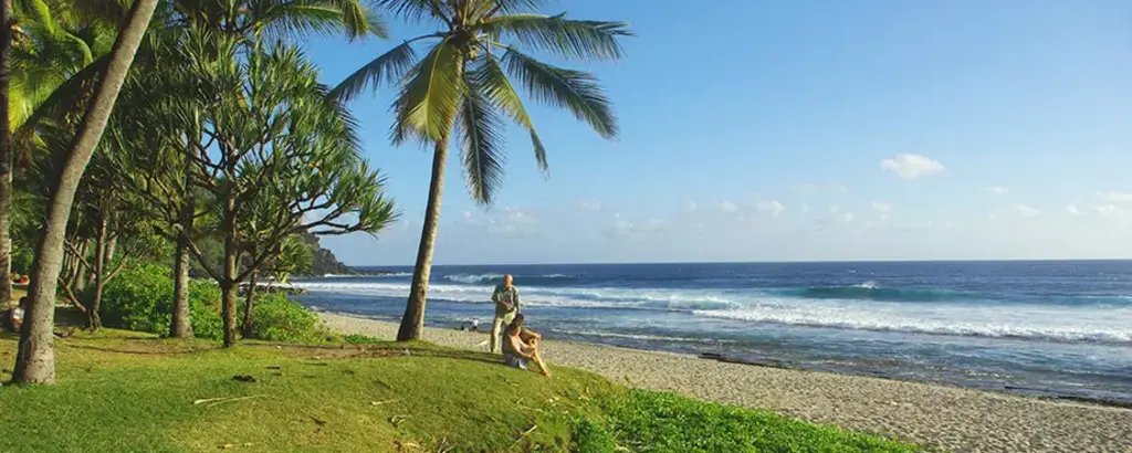 Plage de cocotiers sur l'île de la Réunion