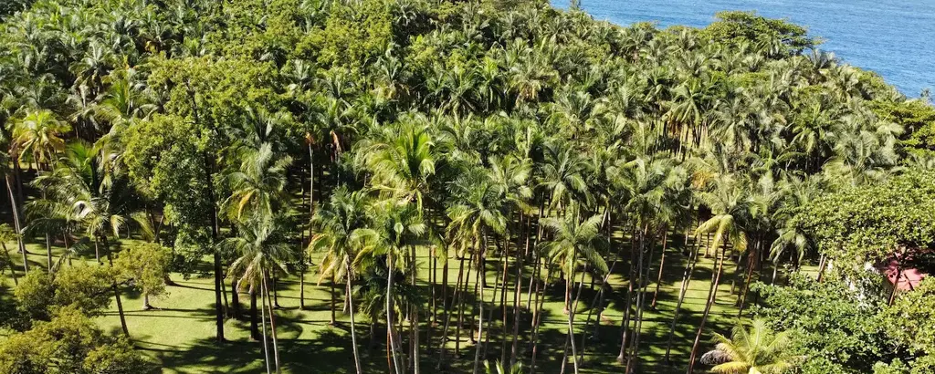 Anse des cascades