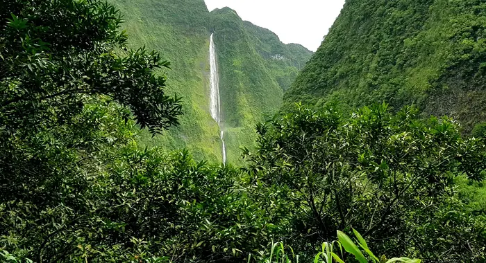 image Horizon Réunion