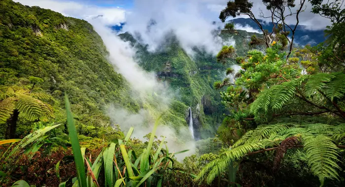 image Horizon Réunion