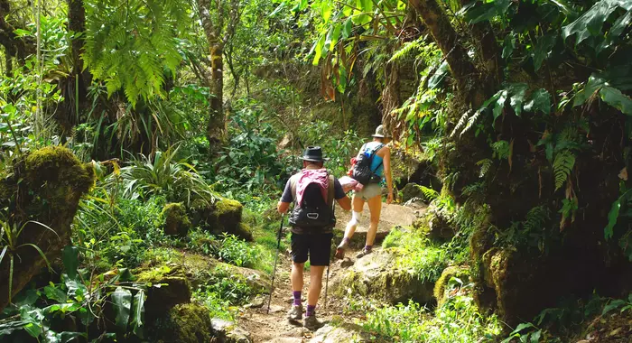 Sur les traces du GRR1, le tour du piton des Neiges