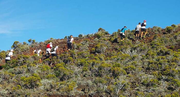 image Horizon Réunion