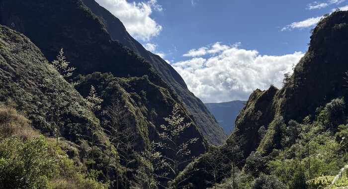 client Horizon Réunion