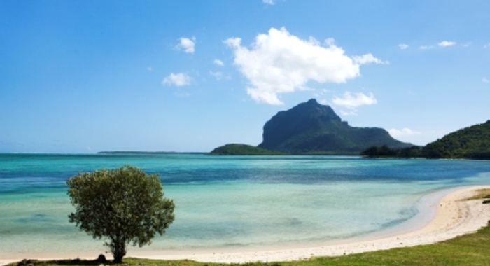 client Horizon Réunion