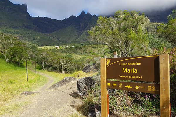 Réserver le Bois de Couleur – île de la Réunion