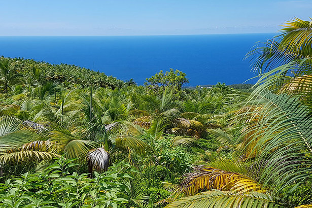 Horizon Réunion