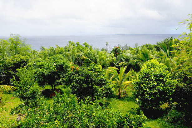 Horizon Réunion