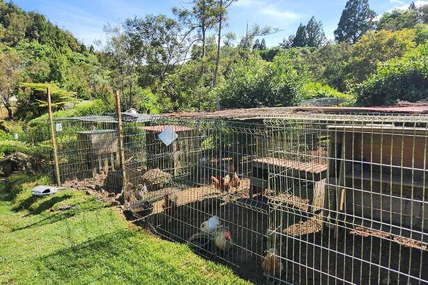 ferme pédagogique hydrangéa