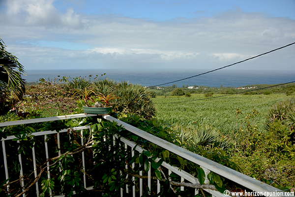 Horizon Réunion