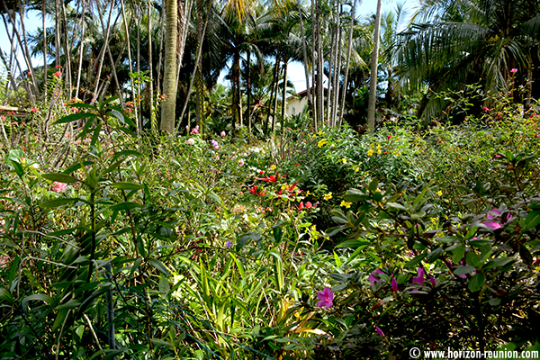 Horizon Réunion