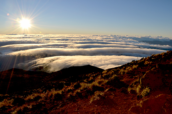 Horizon Réunion