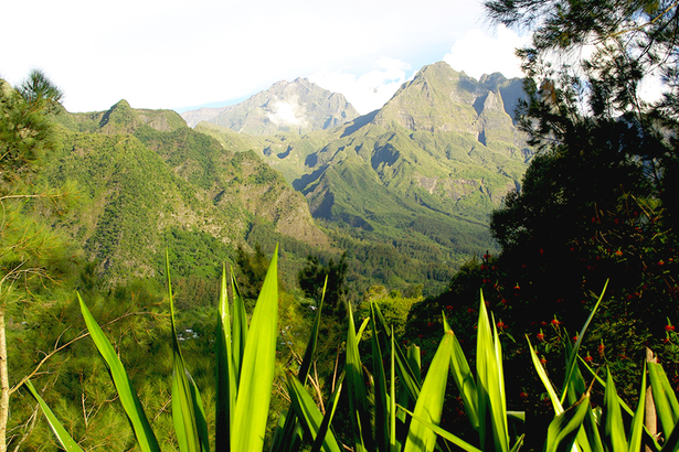 Horizon Réunion