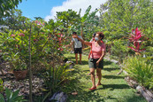 visite jardin du Bel Ombre