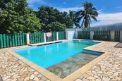piscine zoiseaux paradis