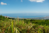 Horizon Réunion