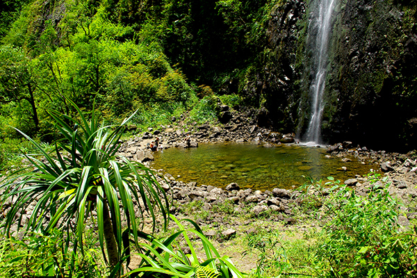 Cascade sur l'île de la Réunion 