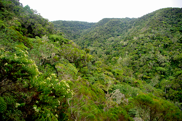 Randonnée de la Roche-Ecrite