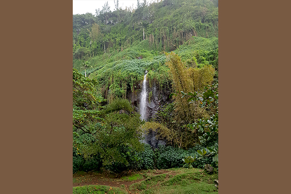 Cascades de la Réunion 