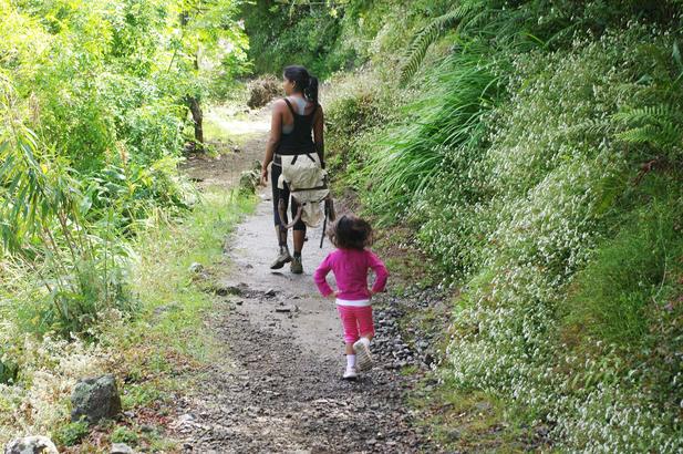 Sentier des Porteurs sur le flanc de la Ravine des Etangs