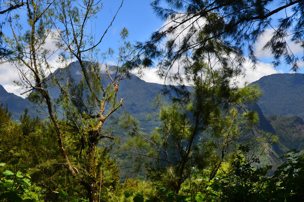 Horizon Réunion