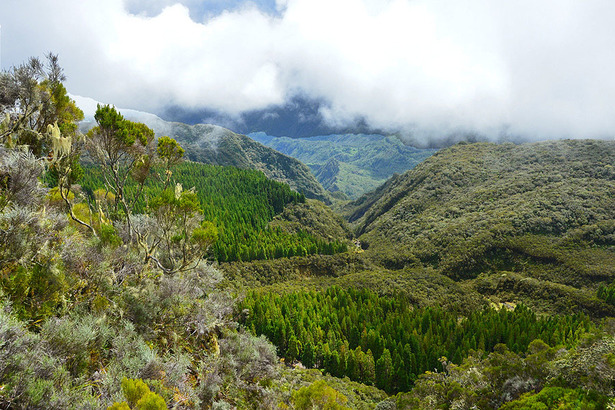 Horizon Réunion