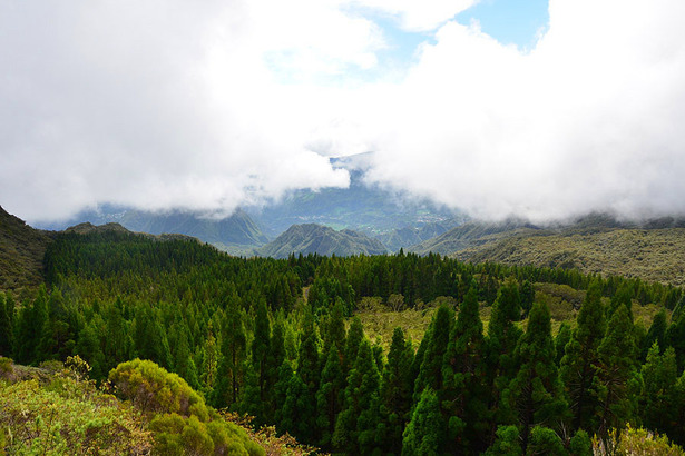 Horizon Réunion