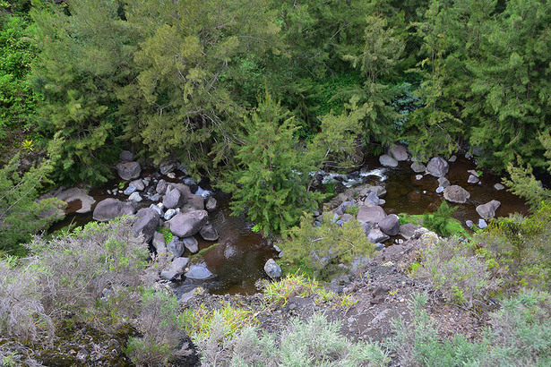 Horizon Réunion