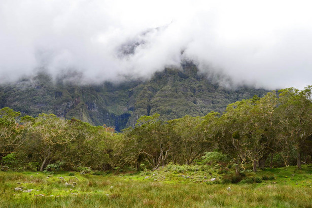 Horizon Réunion