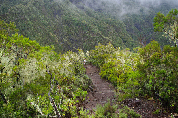 Horizon Réunion