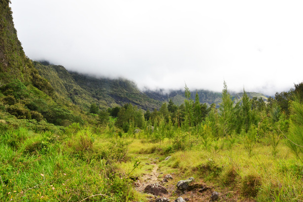 Horizon Réunion