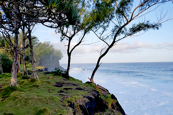 Côte sauvage de l'île intense