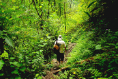 Sentiers de l'île de la Réunion 