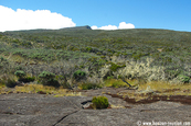 Sommet montagneux de La Réunion