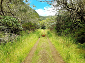 Sentier de la Forêt de Bélouve