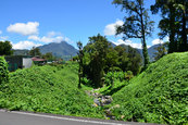 Horizon Réunion