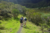 Horizon Réunion