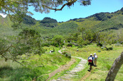 Horizon Réunion