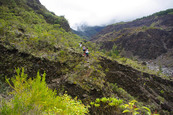 Horizon Réunion