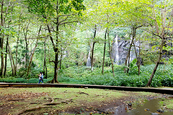 L'anse des cascades, site à découvrir à la Réunion 