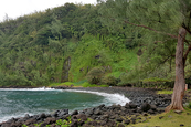 Sud sauvage à la Réunion 