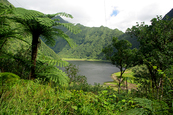 Randonnée sur l'île de la Réunion 