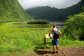 Balade en famille à la Réunion 